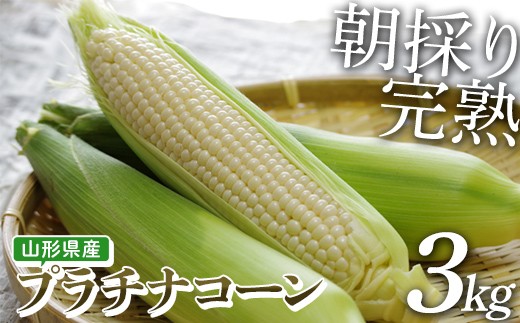 【朝採り】完熟プラチナコーン 明石農園 3kg とうもろこし 山形県産 【2026年9月発送開始】 FSY-2881