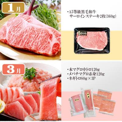 ふるさと納税 枕崎市 定期便6回配送　満足つめこみセット　GG5-0002 |  | 01