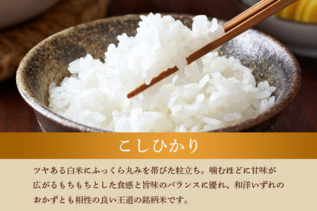 【12月限定】生活応援！ 獅子米 30kg 玄米 お米 米 おまかせ こしひかり にじのきらめき あきたこまち ご飯 ごはん 産地直送 国産 茨城県 石岡市 B02-089