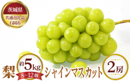 No.647 【先行予約】梨 約5kg（8～12個）とシャインマスカット2房【茨城県共通返礼品 石岡市】 ／ 果物 なし ぶどう 茨城県