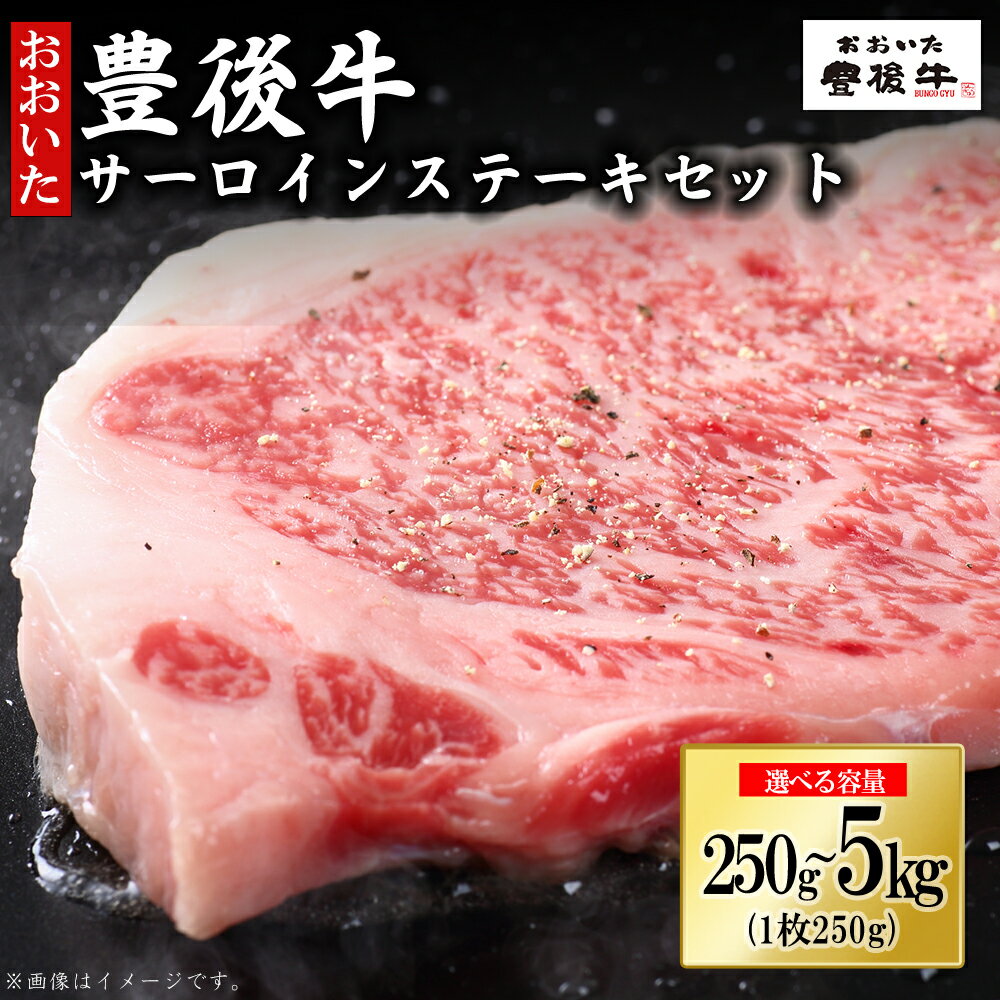 【ふるさと納税】豊後牛 サーロインステーキ 250g～5kg＜選べる容量＞ /計250g(250g×1枚)/計500g(250g×2枚) /計1kg(250g×4枚)/【訳あり】計5kg(250g2枚入り×10P) 牛肉 肉 お肉 サーロイン ステーキ 焼肉 バーベキュー 焼くだけ 肉 牛肉 国産牛 九州産 大分県 姫島村 D5
