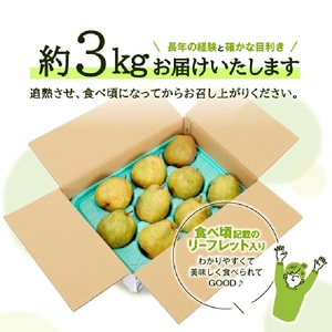 SA3039　酒田産【特選】ラ・フランス　約3kg(玉数おまかせ)