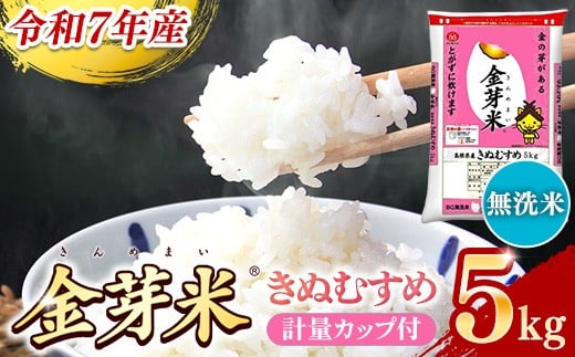 BG無洗米・金芽米きぬむすめ 5kg 計量カップ付き【令和7年産 節水 健康 ビタミン ミネラル つや お弁当 おいしい うまみ 甘み ふっくら 時短 簡単 島根県 安来市】【価格改定X】