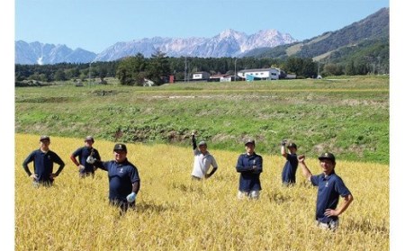 長野県小谷村百姓七人衆のゆめしなの　５kg