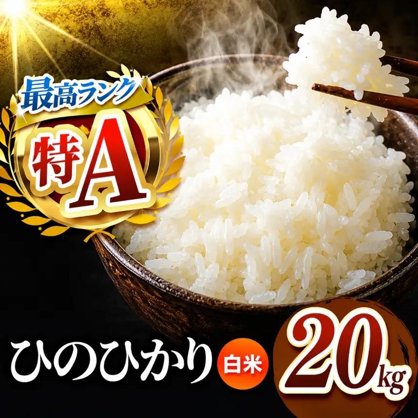熊本県産 ひのひかり 白米 20kg