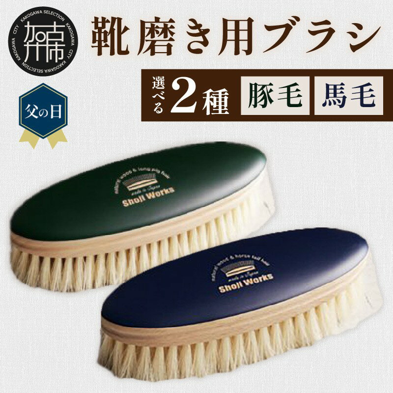 【ふるさと納税】＼父の日／靴磨き用ブラシ 白い豚毛 白い馬毛 《 靴磨き 靴 ブラシ 馬毛 豚毛 白 シューケア お手入れ 革靴 自然素材 おすすめ 日用品 プレゼント 贈答用 ギフト プレゼント 贈り物 》