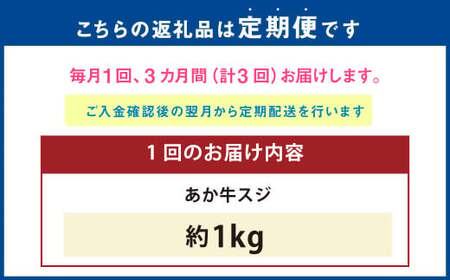 【3ヶ月定期便】 あか牛スジ 1kg （500g×2パック） 計3kg あか牛 牛肉 牛 お肉 肉 おかず 冷凍