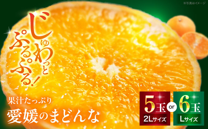 
            【先行予約】【11月下旬から順次発送】 とろける宝石みかん「まどんな」2Lサイズ5玉又はLサイズ6玉 果物 フルーツ みかん みかんジュース 愛媛県産みかん 愛媛みかん まどんな マドンナ 愛媛県大洲市/峯田農園 [AGBT007]
          