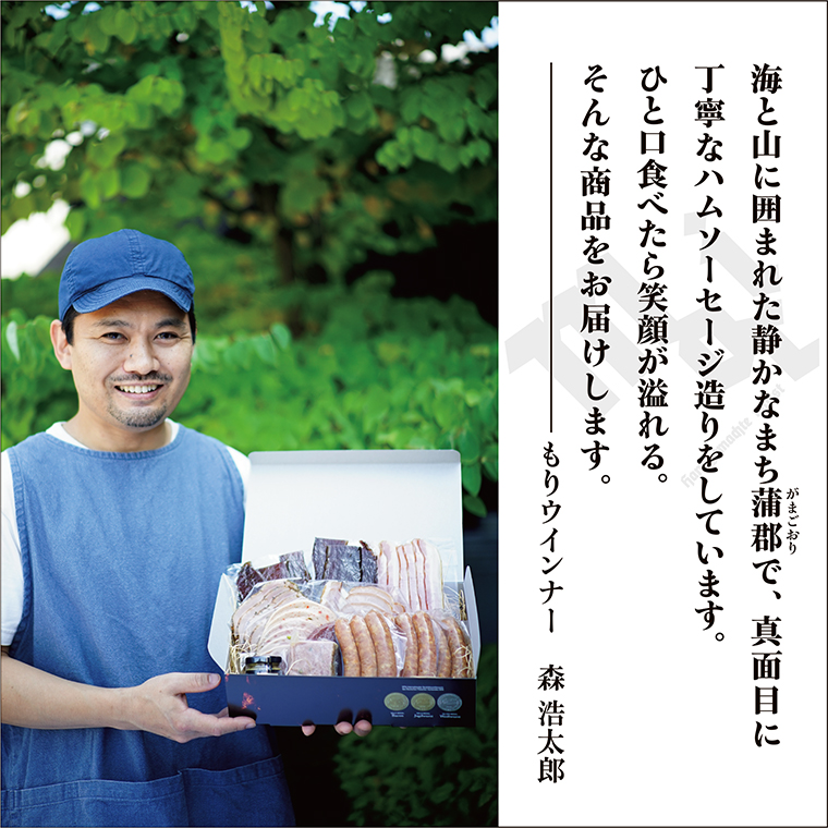 もりウインナー ハム・ソーセージ詰め合わせ ビーフジャーキー入り 12点セット_【G0687】