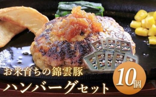 錦雲豚ハンバーグ 10個セット （100g×10個） | 惣菜 おかず 弁当 豚肉 国産 九州産 大分県産 ブランド豚 豚 錦雲豚 冷凍 小分け 送料無料