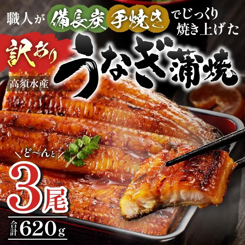 うなぎ 蒲焼 うなぎ[国産 訳あり 3尾 高須水産 備長炭手焼き 620g]