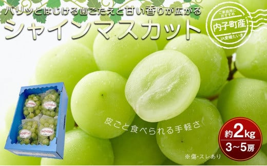 内子町産 シャインマスカット ムジ 3～5房 約2kg ＜2026年8月下旬～発送開始＞【シャインマスカット 大人気 愛媛県 シャインマスカット 美味しいシャインマスカット 人気 シャインマスカット  美味しいシャインマスカット 葡萄 シャインマスカット 愛媛県産 シャインマスカット 旬 フルーツ シャインマスカット フルーツ 果物 くだもの】
