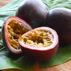 【2026年6月上旬から順次発送】今帰仁村のお試しスイカ1玉＆パッションフルーツ4玉【配送不可地域：離島】【1702338】