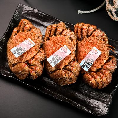 ふるさと納税 白老町 【浜ゆで】北海道産 冷凍ボイル毛ガニ (1尾620g〜660g前後) 3尾 |  | 03
