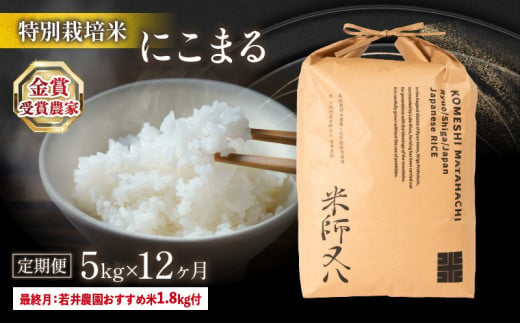 令和6年産 新米 定期便 にこまる 5kg × 12ヶ月 若井農園 おすすめ米1.8kg付 十六代目米師又八 謹製 ( 2024年産 ブランド 米 rice 精米 白米 ご飯 内祝い 十六代目米師又八 謹製 もちもち 国産 送料無料 滋賀県 竜王 ふるさと納税 )