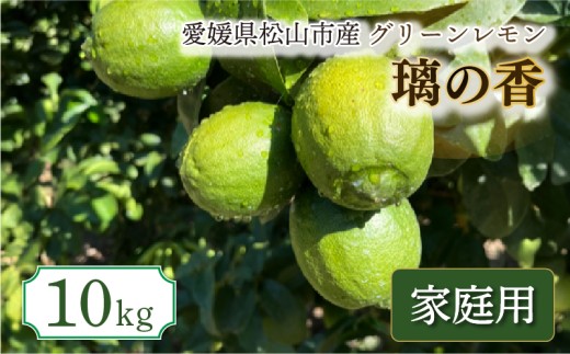 【2026年9月中旬頃から順次発送】家庭用 グリーン璃の香 S～2L 10kg | 果物 くだもの フルーツ グリーンレモン ぐりーんれもん  