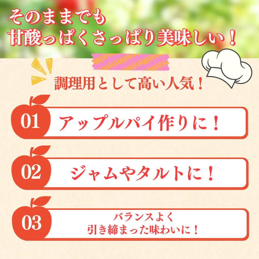 【9月下旬発送 先行予約】樹上熟成　紅玉 3kg | りんご 紅玉  加工用