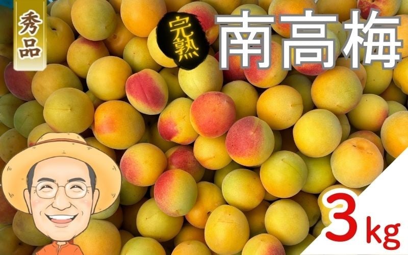 
            【秀品】完熟 南高梅 約3kg (＋保証100g) 2L以上 カキエモン農園 【2026年6月中旬～6月下旬頃順次発送】 和歌山産 梅干し 梅酒 梅シロップ 果実 うめ 梅 ウメ カキエモン 農園 送料無料 なんこううめ なんこうばい なんこう梅 加工用 家庭用 紀州【BX-kkem015】
          