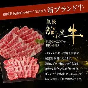 【牛肉】 船小屋牛 肩ロース 焼肉 【500g】《筑後》【冷凍】 176-004