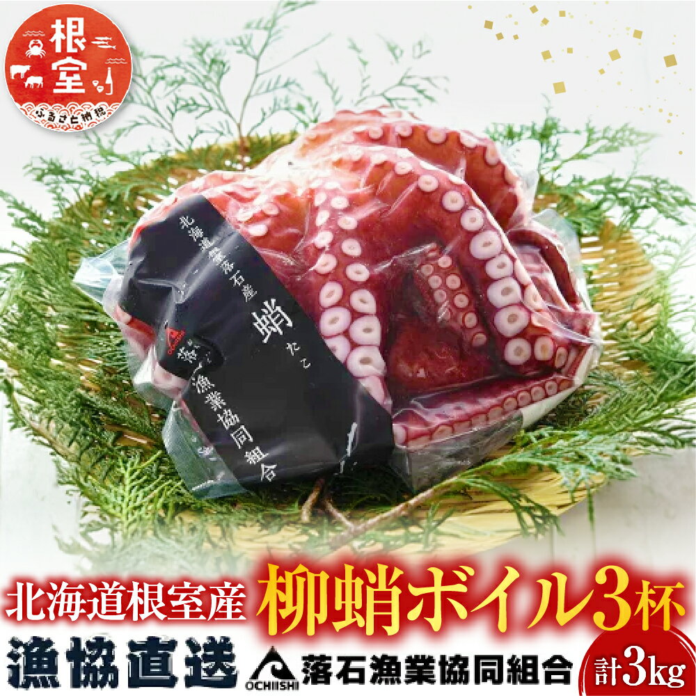 【ふるさと納税】[北海道根室産]柳蛸ボイル3杯(計3kg) F-20010