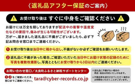 まちなが家族農園の不知火（しらぬい）5kg 【2026年3月下旬～5月下旬まで順次発送予定】 温州みかん 完熟みかん 大玉みかん 不知火 しらぬい デコポン 品種 みかん ミカン 蜜柑 柑橘 甘い 果