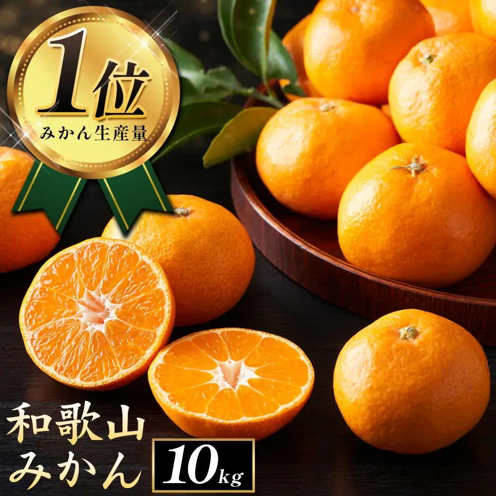ご家庭用/訳あり みかん 約10kg