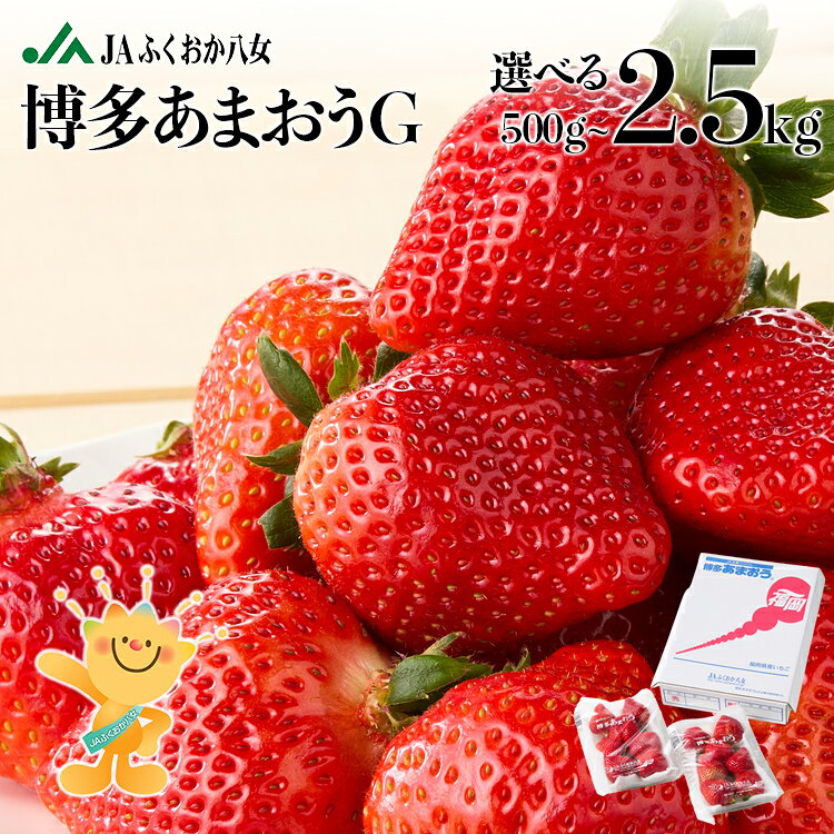 【ふるさと納税】博多あまおうグランデ 【期間限定】選べる 500g 1000g 1500g 2000g 2500g いちご 苺 フルーツ 果物 くだもの 福岡県産 福岡 九州 国産 特大 大粒 甘い 酸味 先行予約【2027年2月より順次発送】