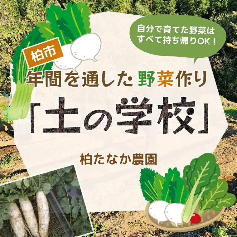 年間を通した野菜作り「土の学校」（1組5名まで） 〈 学び 食育 収穫 農業 野菜 子供 親子 農作物 ふるさと納税 柏 〉