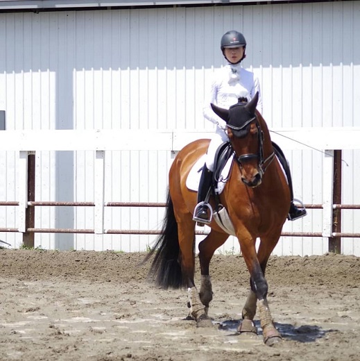 四街道グリーンヒル乗馬クラブ 店頭利用券 16500円分 / 乗馬体験 ビジターレッスン １回使い切り