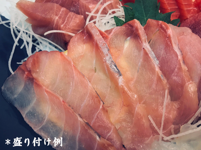 [ととパッチョ] 相模湾のいさき 計240g (60g×4袋)《手軽にカルパッチョができるお魚スライス真空パック －80℃旬間凍結品》 [0915]