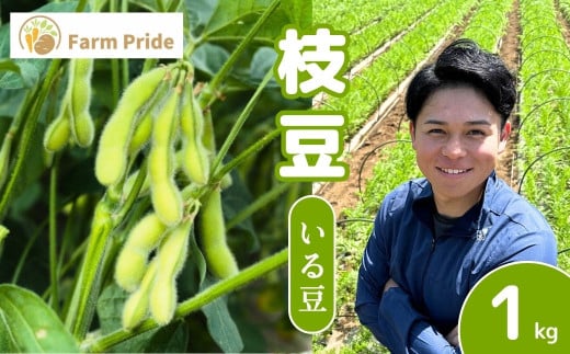枝豆 1kg | 枝豆 えだまめ エダマメ 豆 いる豆 おつまみ 野菜 産地直送 株式会社farmpride 埼玉県 所沢市