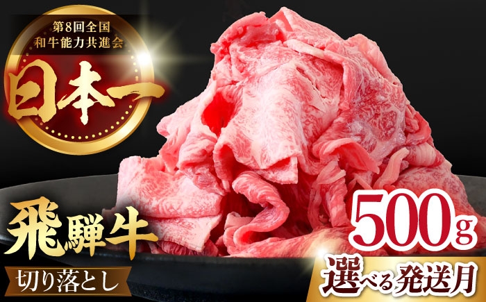 
                  【選べる発送月】【 飛騨牛 】 切り落とし 500g  ( 250g×2 ) 肉 飛騨牛 和牛 ブランド牛 高級 国産牛 黒毛和牛 ビーフ 牛 牛肉 きりおとし 切り落とし 切り落し / 多治見市 / 肉のひぐち [TDC009]
                