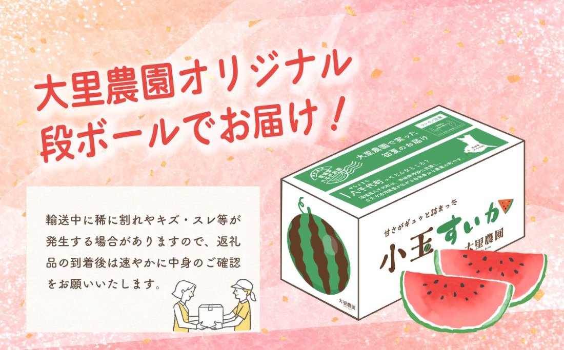 【 先行予約 2026年6月下旬以降発送 】八千代町産 小玉スイカ ピノガール 1箱（2玉入） タネが小さい すいか [SF005ya]
