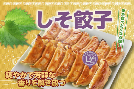 にこにこ餃子の名古屋餃子2種セット（80個入）（2343）