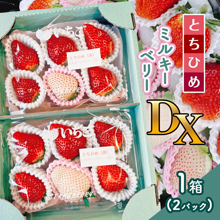 【ふるさと納税】【先行予約】とちひめ・ミルキーベリー DX 1箱(2パック) 〈期間限定〉12月～2月発送｜苺 いちご ストロベリー パック 厳選 手作り 農家 特産品 栃木県 真岡市 美味しい おいしい 美味い うまい 人気 旬 新鮮 フレッシュ ジューシー 甘い あまい 送料無料