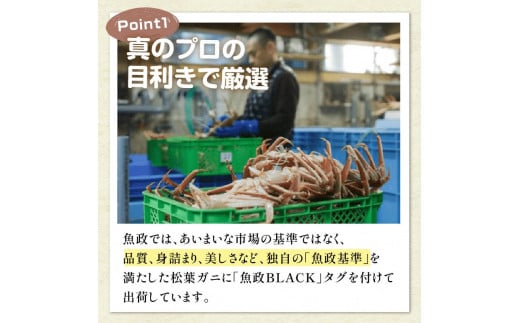 【蟹の匠 魚政】茹で　プレミアムズワイガニ 魚政BLACK（松葉ガニ・越前ガニ）特撰 大サイズ（1000～1100g） 2匹セット(1月～3月発送） 松葉蟹 蟹 かに カニ ガニ がに ボイル 海産物