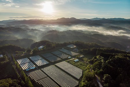 白ワイン 奥出雲葡萄園 シャルドネ（白ワイン） 2本セット 白ワインセット 白ワイン2本セット 辛口白ワイン