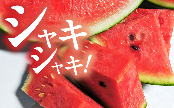 【数量限定】【先行予約】小玉 すいか 2玉【合同会社 福福堂】 [ZCN005]