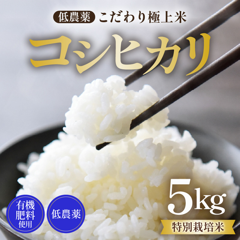【先行予約】【令和8年産 新米】特別栽培米 コシヒカリ 5kg 精米 低農薬 《食味値85点以上！こだわり精米》 / 福井県 あわら 北陸 米 お米 人気 高品質 鮮度抜群 新米 ※2026年9月上旬より順次発送 [aw032-a015]