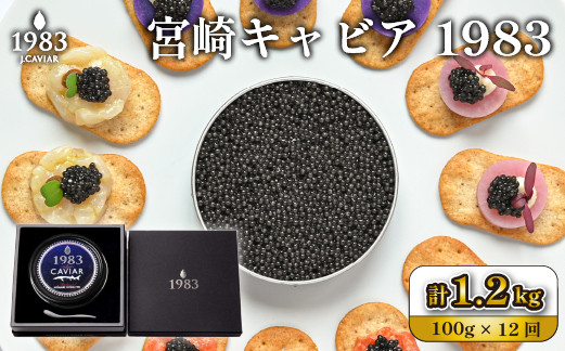 
            【定期便・全12回】＜国際線ファーストクラス採用＞宮崎キャビア1983 100g×12回（国産 キャビア 魚卵 宮崎県 宮崎 小林市 定期便）
          