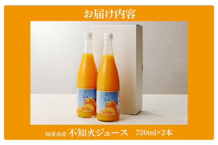 【お中元 外熨斗対応可能】知多市産不知火ジュース　2本 果汁飲料 柑橘 無添加 みかんジュース 蜜柑ジュース オレンジジュース フルーツジュース ご当地ジュース 果物 ドリンク しらぬい でこぽん さ