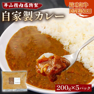 自家製 カレー 200g×5パック 1kg 黒毛和牛 牛肉 国産豚 カレー 