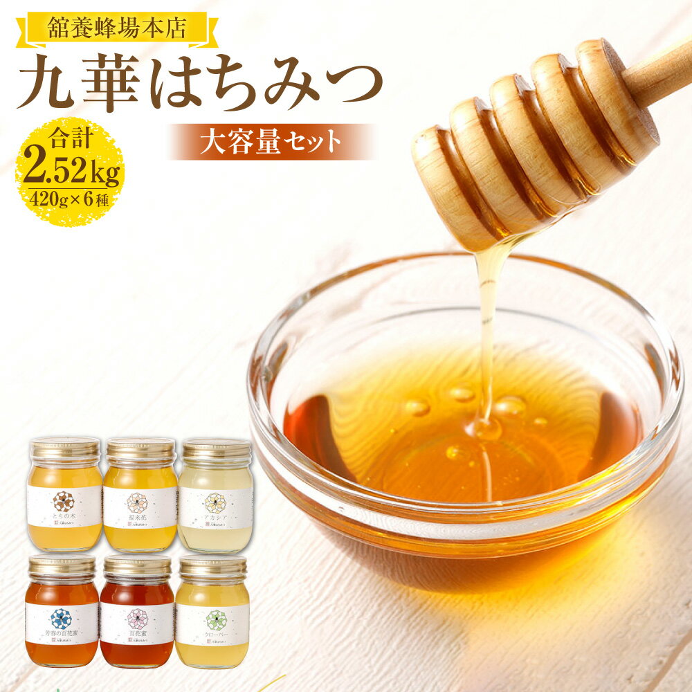 【ふるさと納税】 舘養蜂場本店　九華はちみつ大容量セット420g×6本