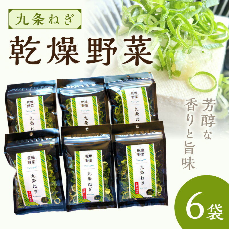 【ふるさと納税】京丹後産 乾燥野菜（九条ねぎ） 6袋入り 野菜 ネギ ねぎ 九条ネギ 葱 乾燥 ドライ野菜 京野菜 SDGs ふるさと納税 野菜