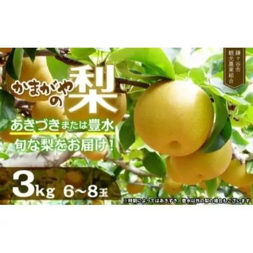 【2026年 先行予約】 かまがや梨 豊水 あきづきなど旬の梨をお届け 約3kg