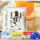 【ふるさと納税】【定期便4kg×3ヶ月】●吟精 無洗米●南魚沼産コシヒカリ | お米 こめ 白米 コシヒカリ 食品 人気 おすすめ 送料無料 魚沼 南魚沼 南魚沼市 新潟県産 新潟県 精米 産直 産地直送 お取り寄せ お楽しみ