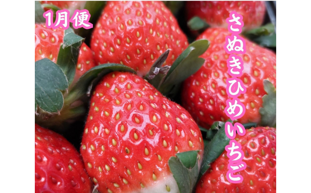 【全6回】坂出　冬・夏　美味しい果物定期便