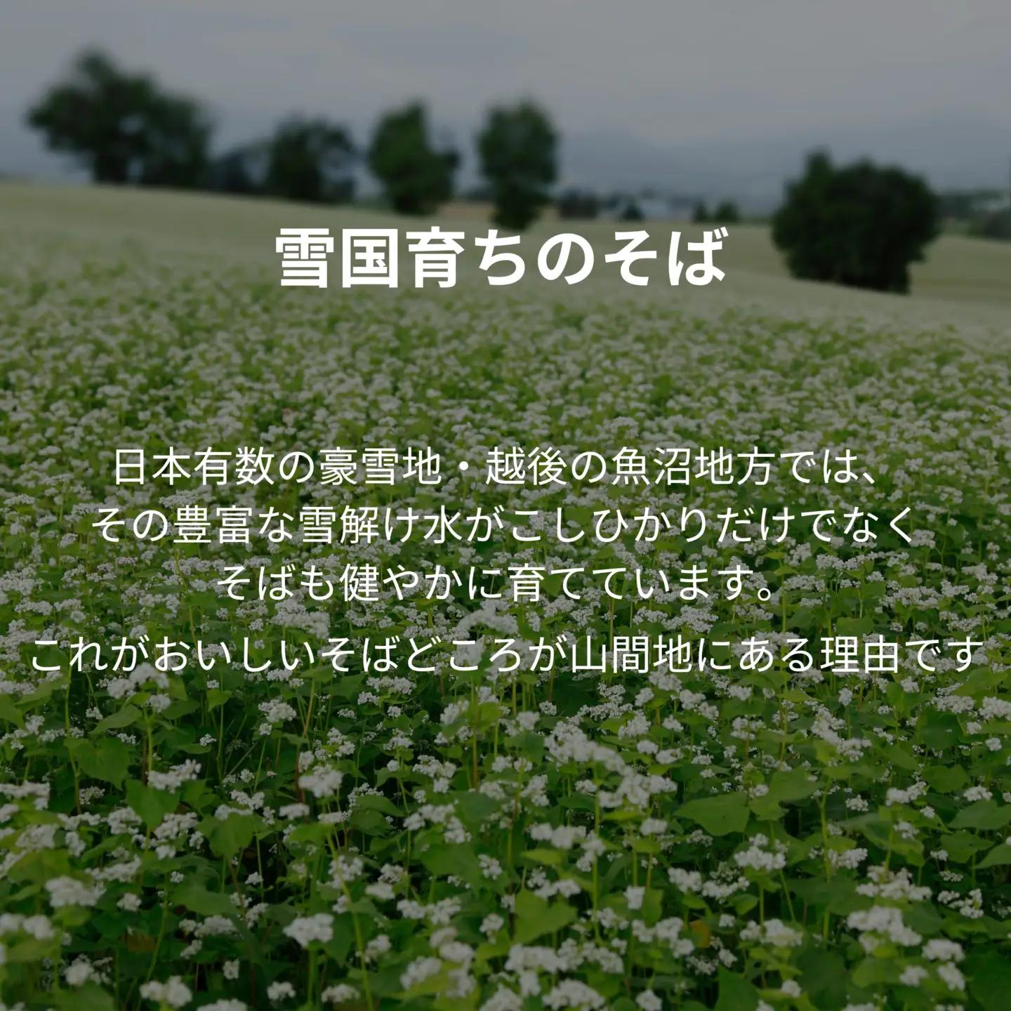 小千谷蕎麦 8束16つゆ たかの | 蕎麦