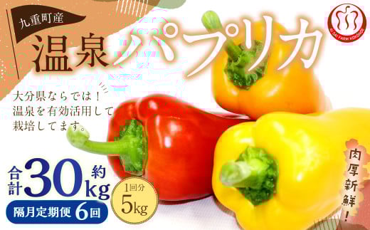 【隔月6回定期便】 大分県 九重町産 温泉パプリカ 計約30kg（約5kg×6回）パプリカ 野菜 やさい