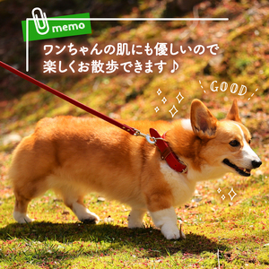 【本革リード】　小型犬用　リード　マイスタープラス　レザーリード　オレンジ　#１５【 ペット 大阪府 松原市 】